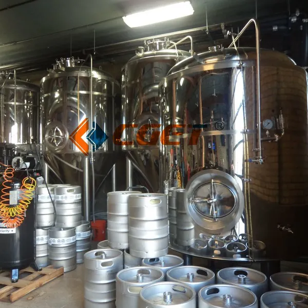 220V Electric Beer Fermenter With Digital Temperature Control
