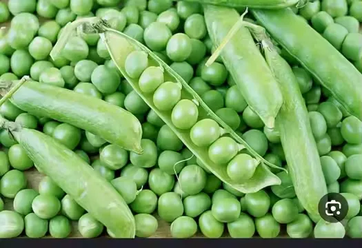 Genyond Factory Industrial Green Bean Pigeon Pea Peeling Equipment Peeling Machine Peeler photo-3
