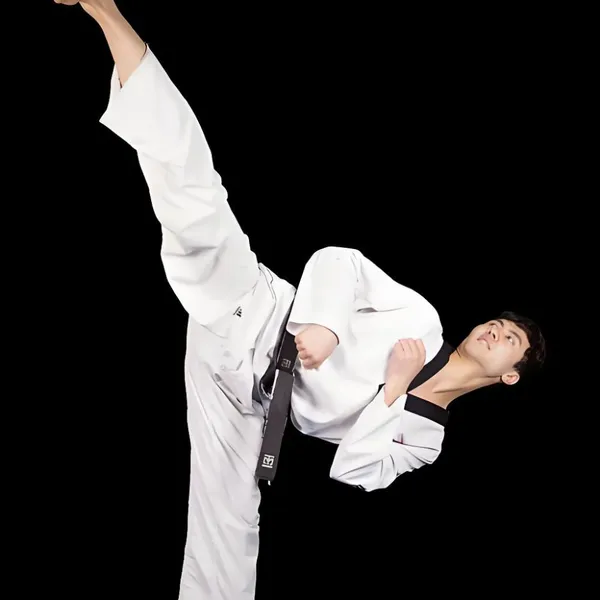 Multi-functional Elastic Rope for Taekwondo, Yoga, Body Shaping, Boxing Training, Side Kick, Radar Kick, Resistance Band photo-5