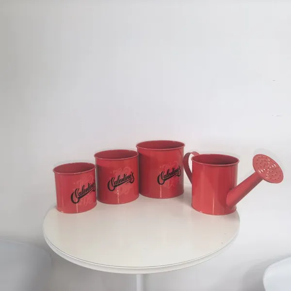 Red Valentine's Day Printed Metal Planter Set & Decorative Watering Can, Galvanized Metal Flower Pots for Holiday Decor