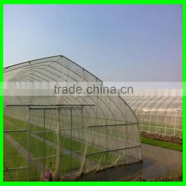 CLEAR ANTI INSECT NET photo-4