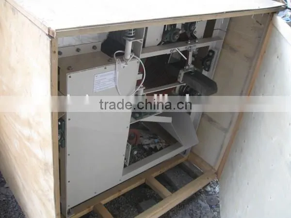 New Type Wet Chickpea Peeling Machine, Manufacturer of China Blanched Vicia Faba Peeler photo-4