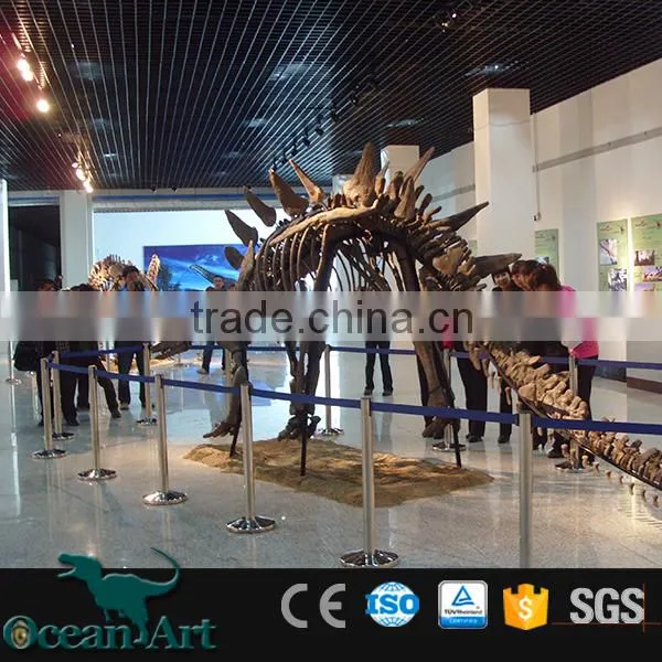 OAV3126 1:1 Dinosaur Skeleton Model photo-2