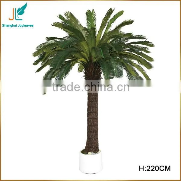 Customized Evergreen Artificial Cycas Revoluta Tree for Sale in Stock
