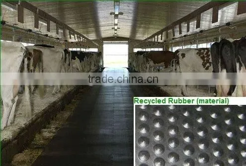 Horse Trailer Mat