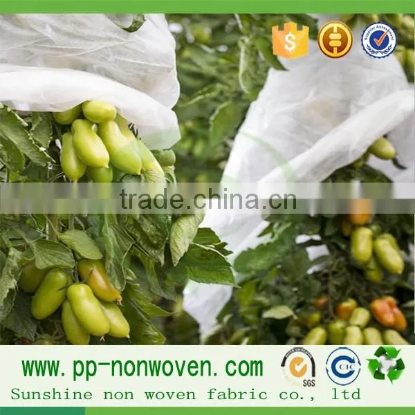 PP Spunbond Roll Fabric Nonwoven Fabric Fruit Cover photo-5