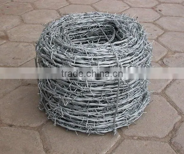 ISO9001:2000 Certified Manufacturer Safety Clips Razor Wire/production of Blades/Razor Barbed Wire Philippines photo-6