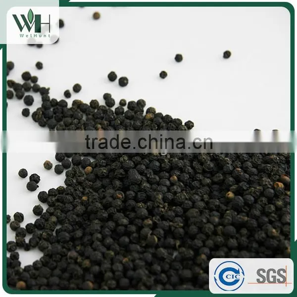 Cambodia First Grade Kosher Black Pepper for Importer 500gl