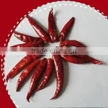 Paprika Pods