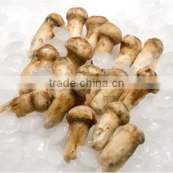 Wild Matsutake Slices Frozon Organic Mushroom With Good Quality photo-6