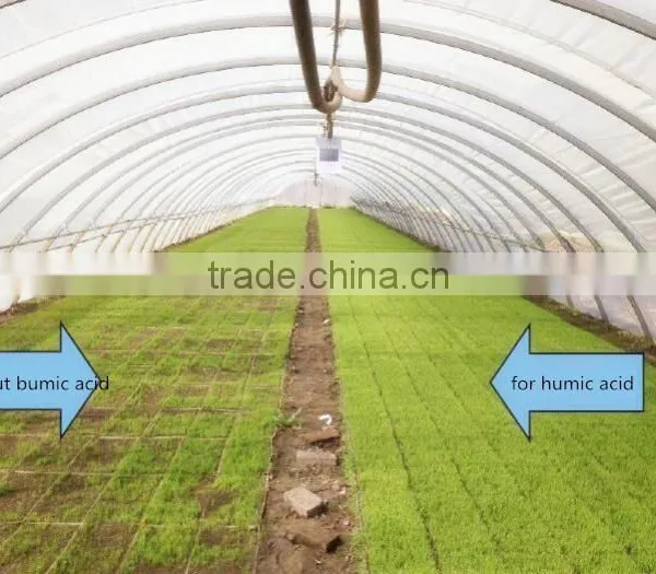New Varieties Are Introduced One After Another Organic Fertilizer Prices photo-4