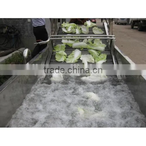 High Efficiency Commercial Vegetable Fruit Washing Equipment photo-2