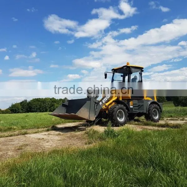 Everun Brand Low Price Compact Wheel Loader for American Market photo-4