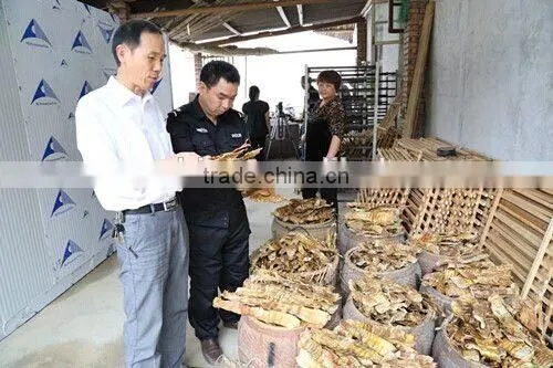 Catfish Drying Machine Fish Dryer photo-3