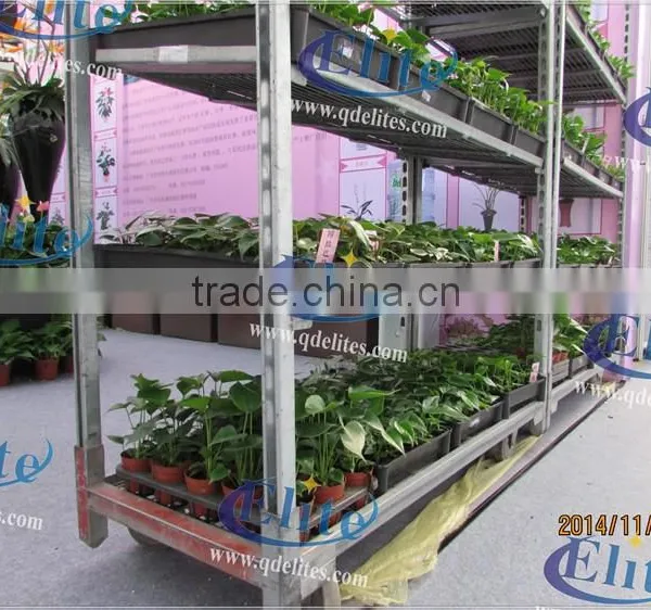 A37 Vegetable Seedings Plant Trolley Container photo-3