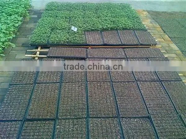 Zhejiang Manufacture High Reflective Growing Systems Trays photo-2