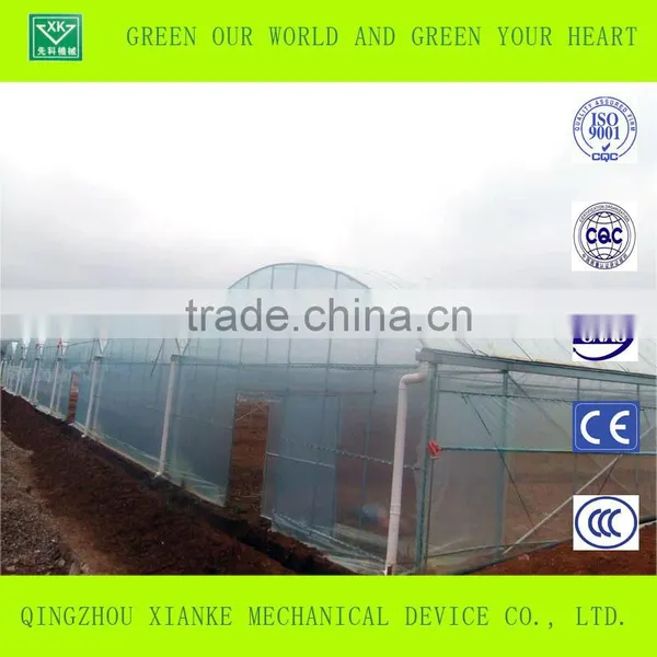 Multi-Span Commercial Agricultural Greenhouse Sales photo-6