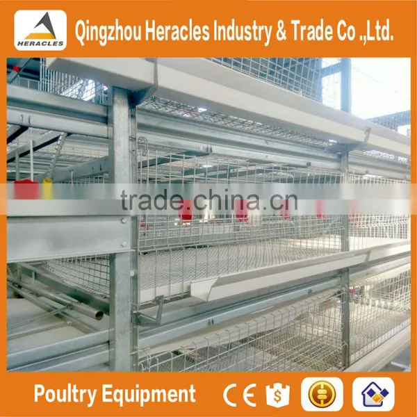 China Factory Price Trade Assurance Chicken Poultry Farm Equipment Layer Cage photo-4