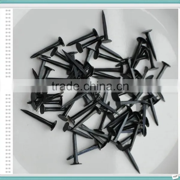 11-25mm High Quality Shoe Tacks Nails photo-3