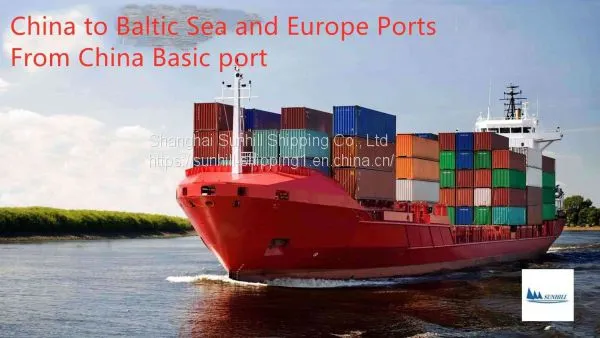 Shanghai to Riga Latvia Sea Freight Logistic Service photo-2