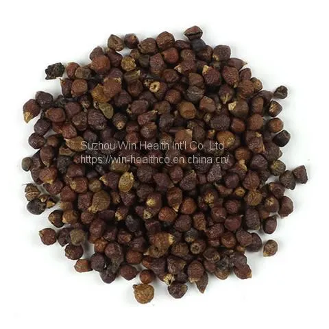 Grains of Paradise Extract Powder