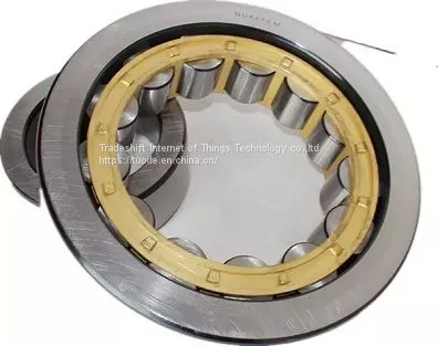 Steel 7012531mm 2214 Self Aligning Roller Bearing