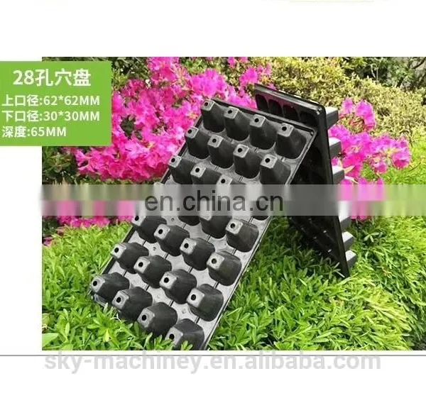 128 Cells Plastic Cell Seed Nursery Biodegradable Seed Tray photo-4