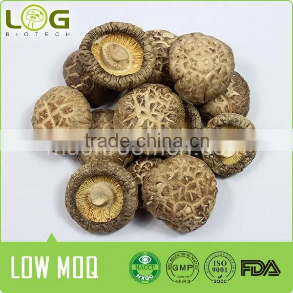 Dried Flower Shiitake photo-2
