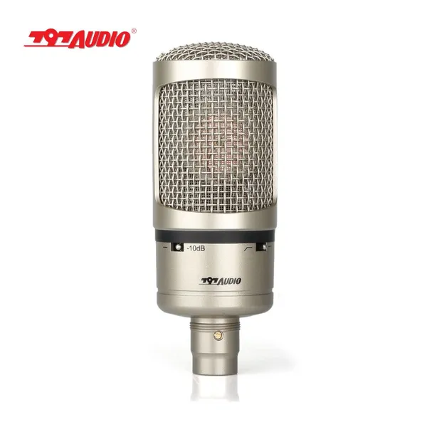 797Audio ACR02 Professional Recording Condenser Microphone for Professional Gaming,singing,audio and Living Program Speaker