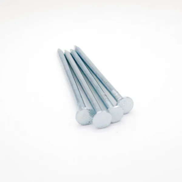 Hot Dipped Galvanized Carbon Steel Wire Nails for Construction - Size Customized
