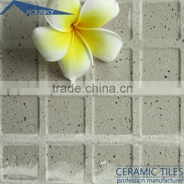 300*300mm Floor Ceramic Tiles photo-5