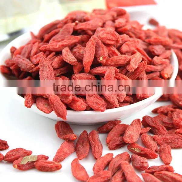 Manufacturer Wholesales Chinese Wolfberry Extract photo-5