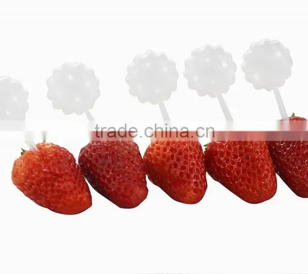 Trade Assurance 30ml Amber Pet Essential Dropper Bottle Essential Oil Bottle With Glass Pipette and Childproof Cap photo-2