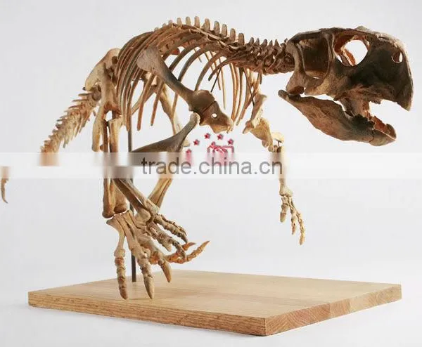 Science Dinopark Dinosaurs Skeleton Replica Of Psittacosaurus