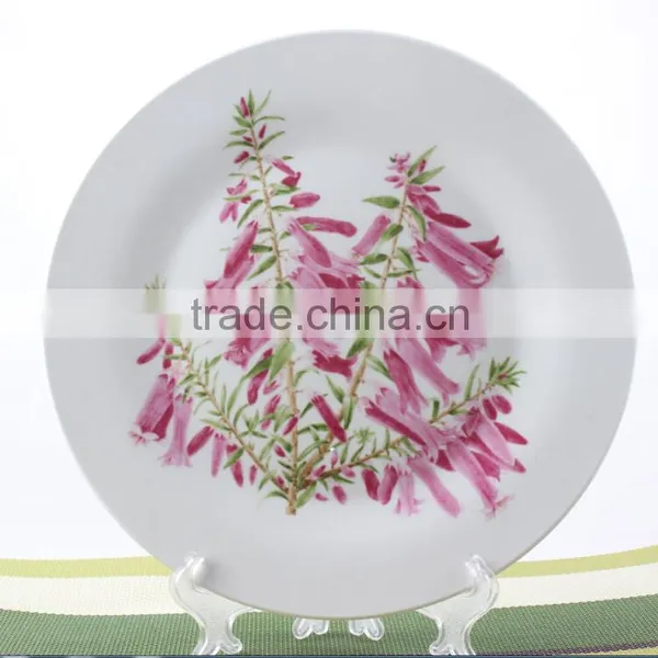 Super White Ceramic Porcelain BBQ Serving Plates photo-6