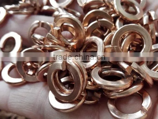 Spring Washer Phosphor Bronze DIN127B