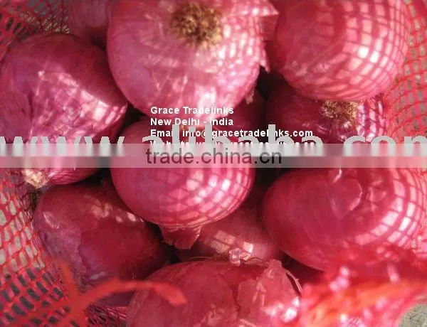Red Onion India Exporter