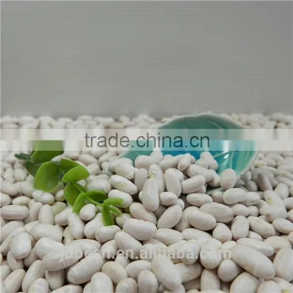 White Kidney Bean photo-4