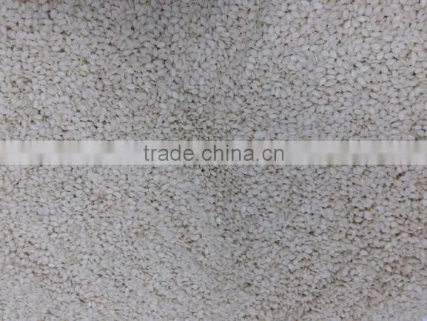 Sesame Seeds