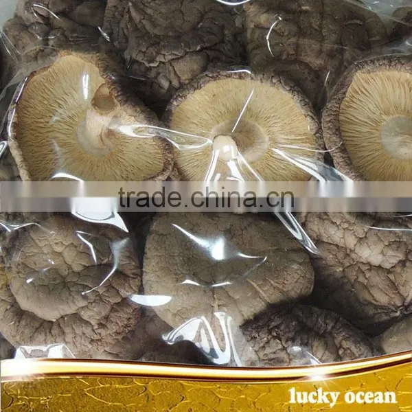 Mushroom 3-4cm Dry Smooth Mushroom Cut Stem