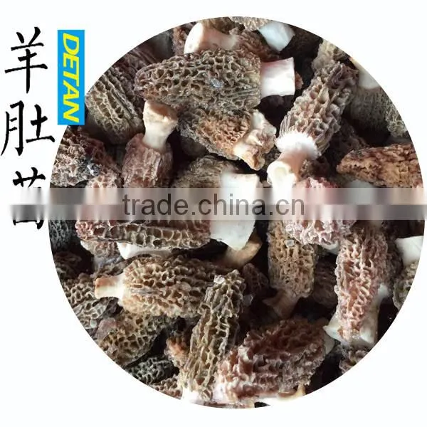Frozen Processing Type Morels photo-5