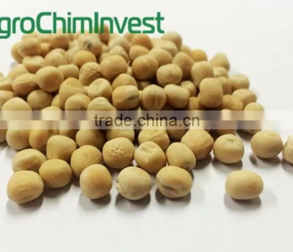 YELLOW PEAS photo-2