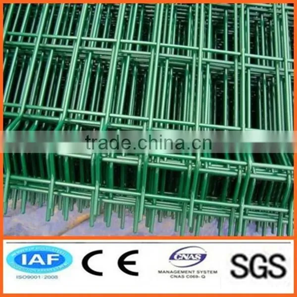 Cheap Standard Wire Mesh Fence photo-2
