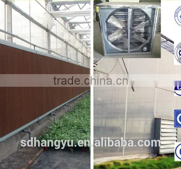 Greenhouse and Agriculture Hydroponic System Shading System photo-5