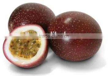 Spanish Passion Fruit Seeds Oil Press Machine Hydraulic Type for European photo-3