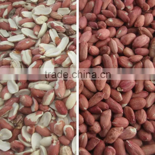 Seed Color Sorter/oil Seed Color Separator/oil Seed Processing Equipment photo-4