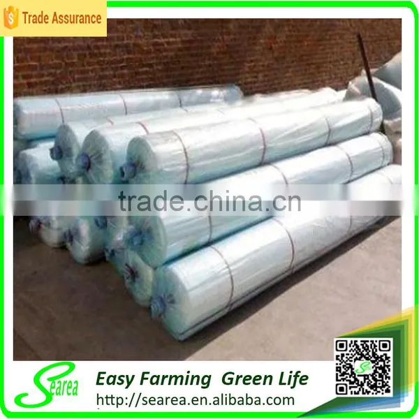 Searea Hot Sale 200 Micron Greenhouse Film photo-2