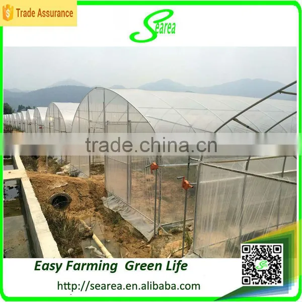 Agricultural Single Span Greenhouses photo-4