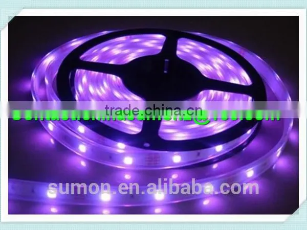 China Supplier SMD Holiday LED Lighting 110 220V 60leds/m Dmx Rgb Led Strip Light photo-4