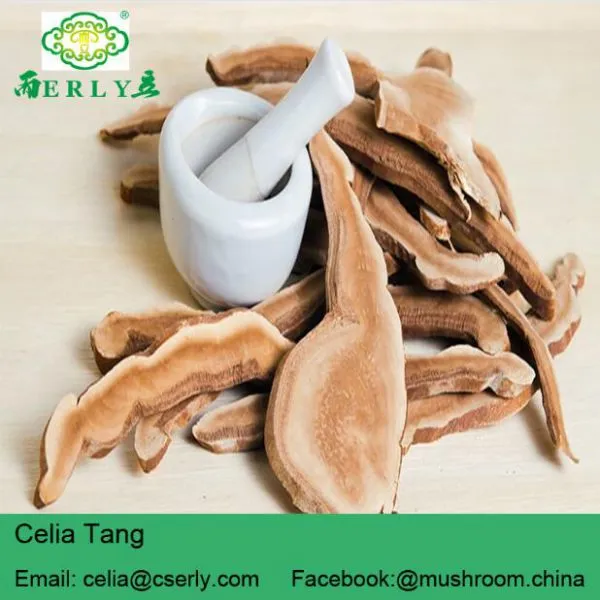 Sliced Reishi Mushroom